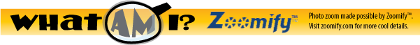 What am I? Zoomify (TM) Photo Zooms made possible by zoomify.com